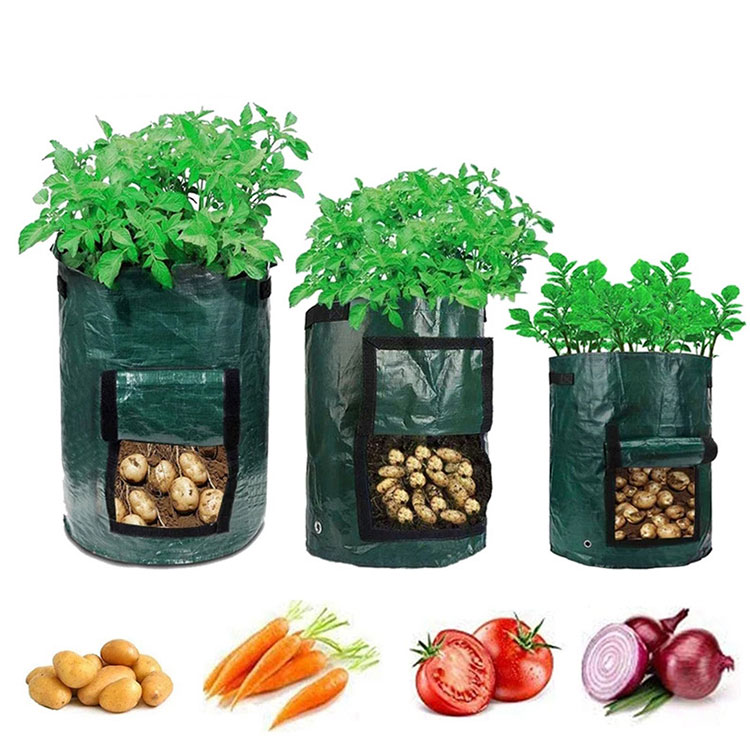 Bolsa de cultivo de PE de plantas degradables